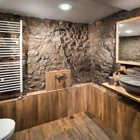 Toplika Country house *